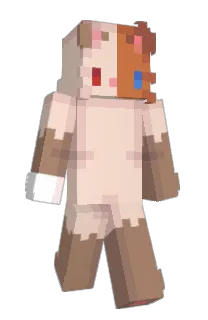 Front of Minecraft skin