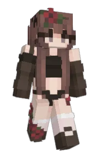 Front of TonttuV2's skin