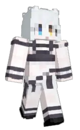 Minecraft skin — Classic model