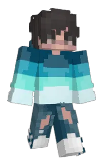 Front of marioca's skin