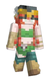 Skin preview