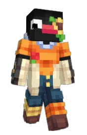 Skin preview