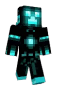 snej1234