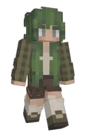 Skin preview