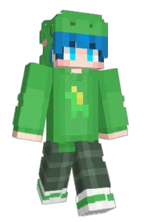 Front of K_1b's skin