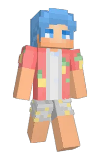 Front of Minecraft skin