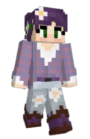 Skin preview
