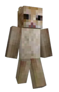 Front of gsbly's skin