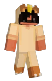 Front of Asoccc's skin