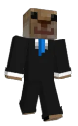 Minecraft skin — Classic model