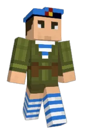 Skin preview