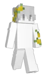 Slim Minecraft skin