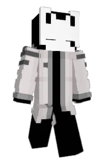 Front of BLANKX9's skin