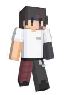 86JOEL Minecraft avatar full body
