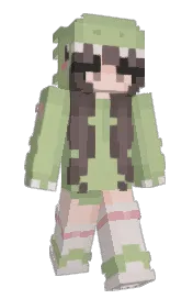 Skin preview