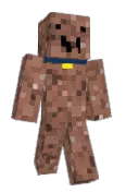 superskinsley