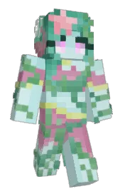 Skin preview