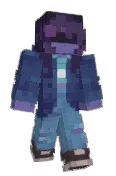 FakeRobin