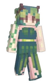 Skin preview