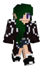 Skin preview