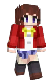 Skin preview