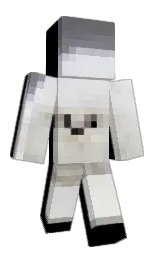Slim Minecraft skin
