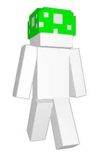 Front of dottasov's skin