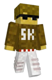 Front of SkyFox7's skin