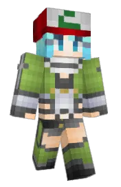 Skin preview