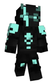 Front of hmlb's skin