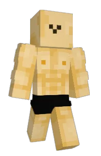 Front of Minecraft skin
