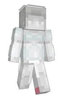 Front of micesss's skin