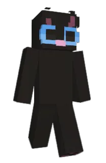 Front of SodaWing's skin