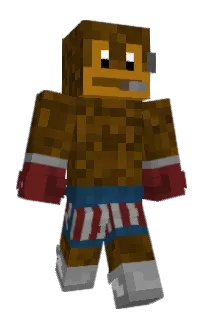 Front of Monekey's skin