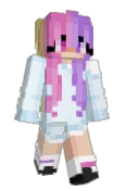 spyflyimy