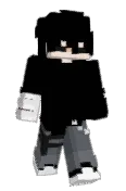 ELM_I_R