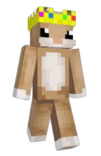 Front of Hectorbrother's skin