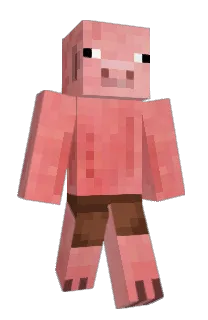 XxEndermGamingxX's Minecraft skin
