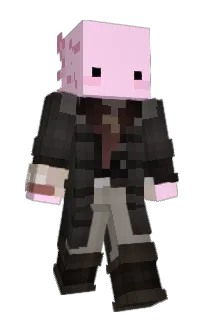 Front of unpotato8161's skin