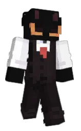 Minecraft skin — Classic model