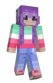 Skin preview