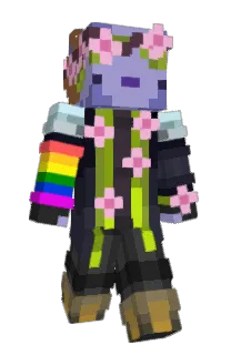 Front of Bestflip's skin