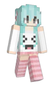 Skin preview