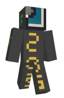 Front of 295's skin