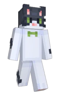 Front of NewPlayer's skin