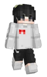 Slim Minecraft skin