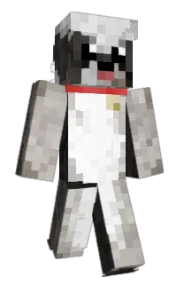 Front of Minecraft skin