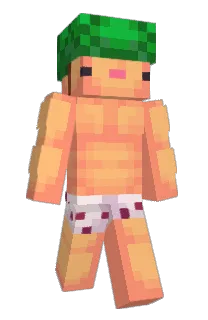 Front of Minecraft skin