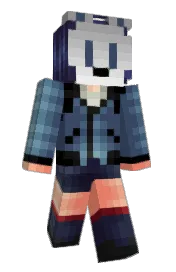 Skin preview