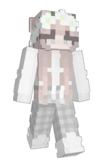 Front of HttpError's skin